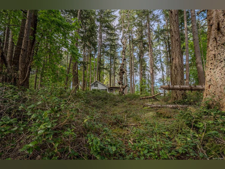 1085 Sea Fern Lane, Mudge Island, BC, V0R 1X6 - 38