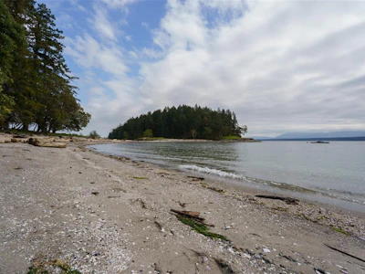 1085 Sea Fern Lane - 3