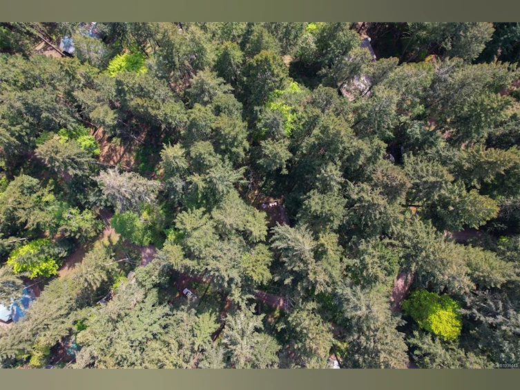 1085 Sea Fern Lane, Mudge Island, BC, V0R 1X6 - 39