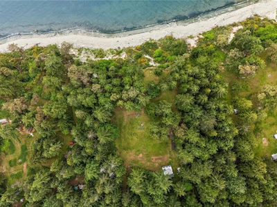 125 Mapleleaf Lane - 5