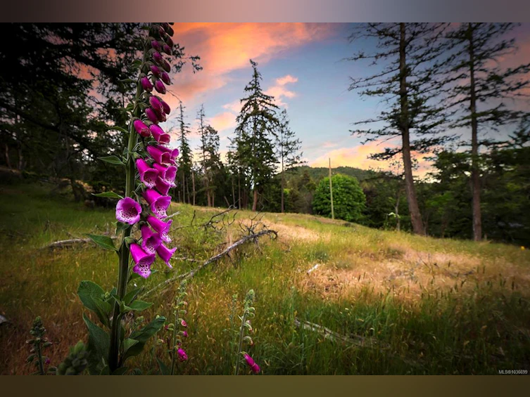 2785 Ashcraft Road, Nanoose, BC, V9P 9J9 - 16
