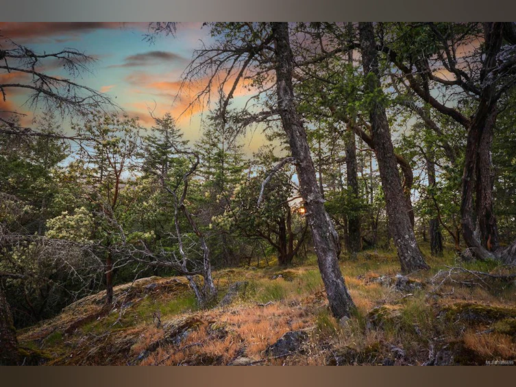 2785 Ashcraft Road, Nanoose, BC, V9P 9J9 - 12