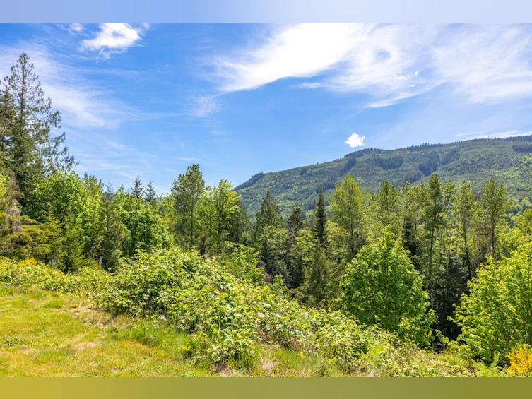 5950 Heger Crescent, Lake Cowichan, BC, V0R 2G0 - 39