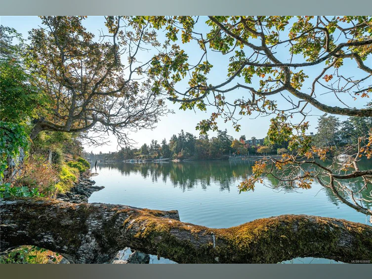 101-69 W Gorge Road, Saanich, BC, V9A 1L9 - 37