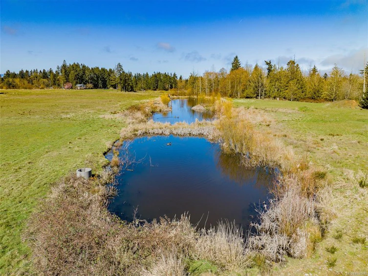 1355 Hodges Road, French Creek, BC, V9P 2B5 - 31