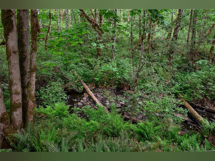 4191 York Road, Campbell River, BC, V9H 1B3 - 50