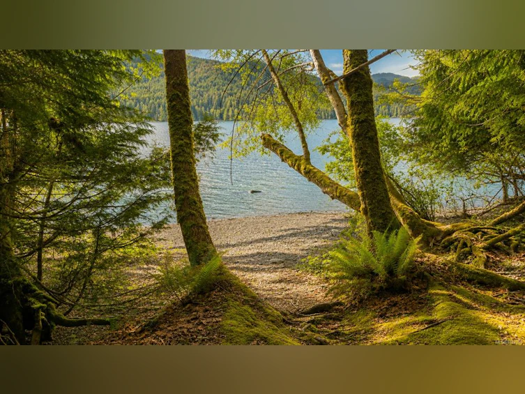 9949 Swordfern Way, Youbou, BC, V0R 3E1 - 77