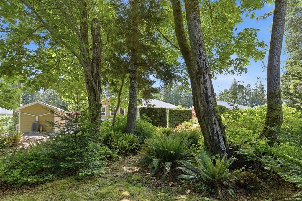 3831 Creekside Drive, Bowser/Deep Bay, BC, V0R 1G0 - 48