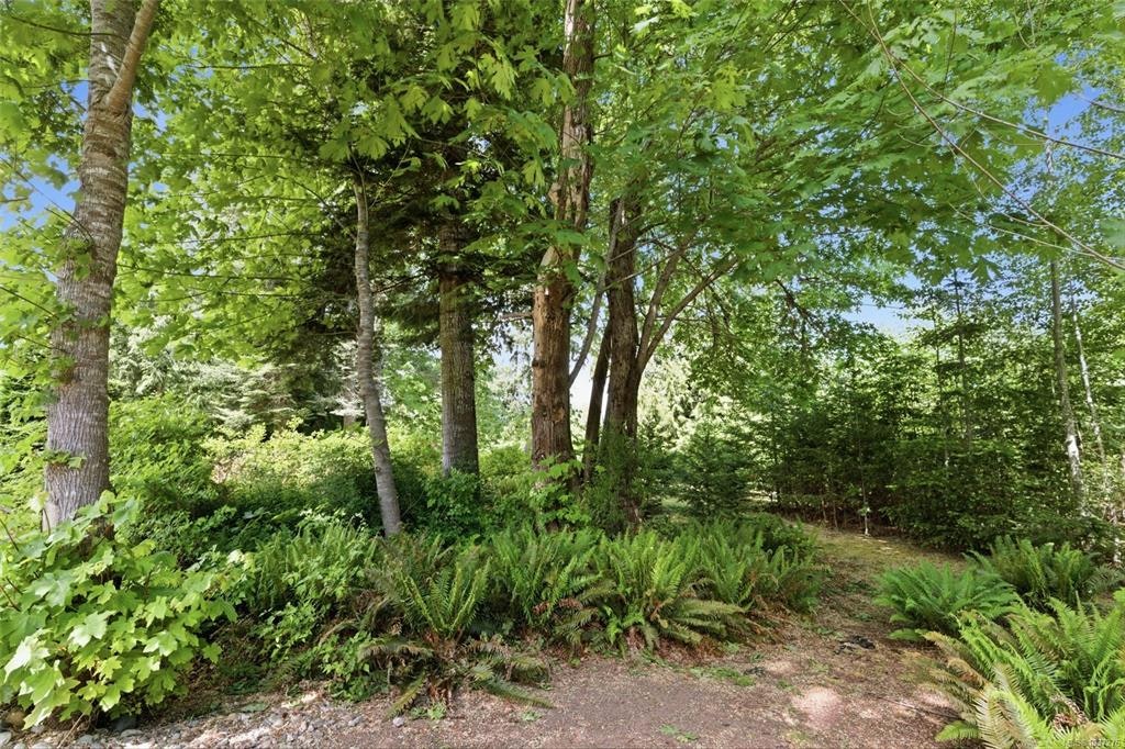 3831 Creekside Drive, Bowser/Deep Bay, BC, V0R 1G0 - 50