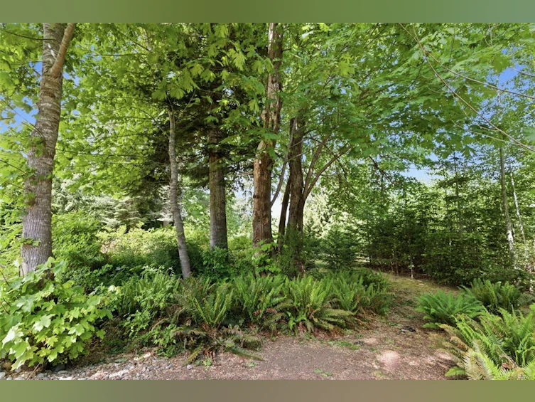 3831 Creekside Drive, Bowser/Deep Bay, BC, V0R 1G0 - 50