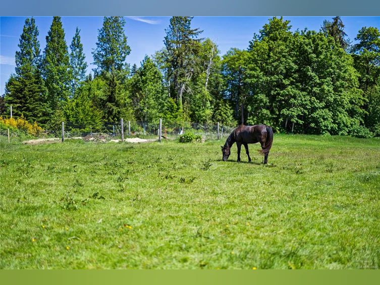 Lot A Castle Drive, Campbell River, BC, V9H 1K9 - 19