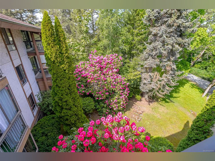 407-1009 Mckenzie Avenue, Saanich, BC, V8X 4B1 - 17