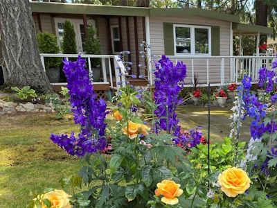 49-1247 Arbutus Road - 2