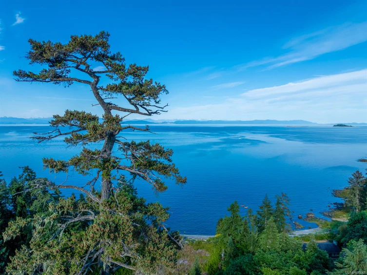4218 S Island Highway, Courtenay, BC, V9N 9R8 - 40
