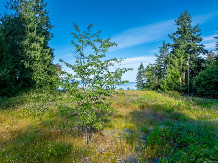 4218 S Island Highway, Courtenay, BC, V9N 9R8 - 43