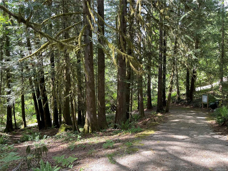 Lot 7 Faber Road, Port Alberni, BC - 12