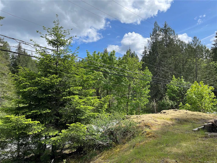 Lot 7 Faber Road, Port Alberni, BC - 8
