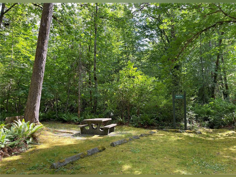 Lot 7 Faber Road, Port Alberni, BC - 13