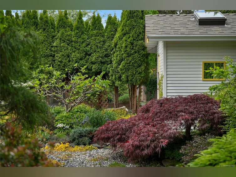 658 Windsor Place, Campbell River, BC, V9W 7Y6 - 38