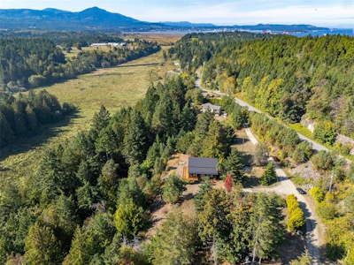 2405 Lindsey Road - 3