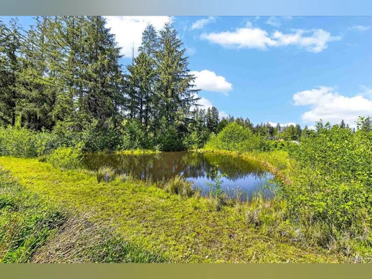 9589 Comox Trail, Port Alberni, BC, V9Y 8N8 - 32