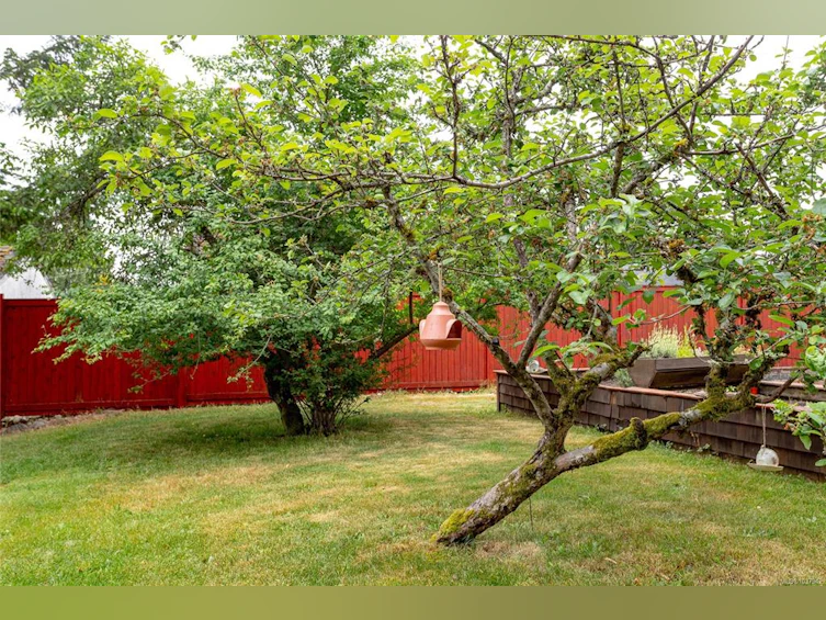 2520 Staats Place, Mill Bay, BC, V8H 1B1 - 50