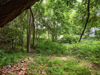 Lot 47 Dolphin Drive - 4