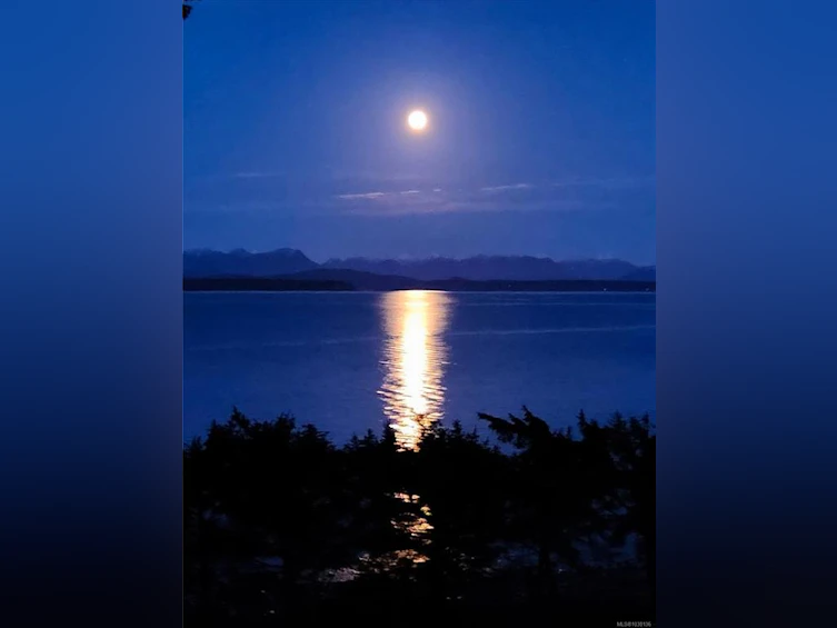 145 Petroglyph Way, Quadra Island, BC, V0P 1N0 - 92