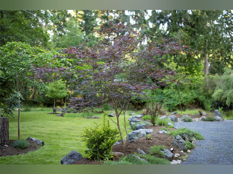 1352 Englishman River Road, Errington, BC, V0R 1V0 - 71