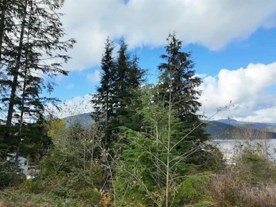 16922 Beachview Drive - 2