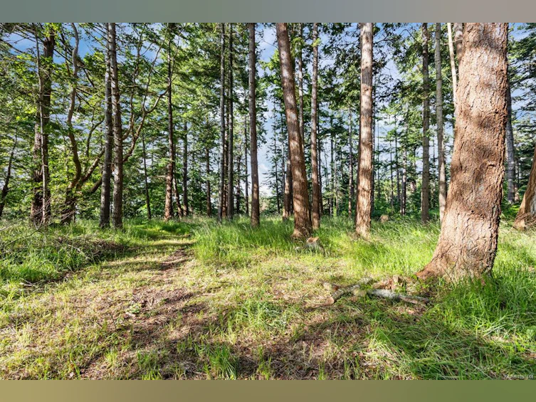 348 Lazo Road, Comox, BC, V9M 3T9 - 17