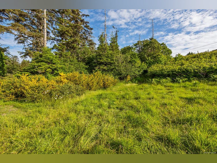 348 Lazo Road, Comox, BC, V9M 3T9 - 21