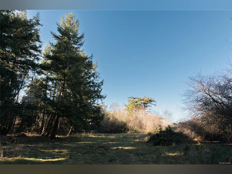 348 Lazo Road, Comox, BC, V9M 3T9 - 40