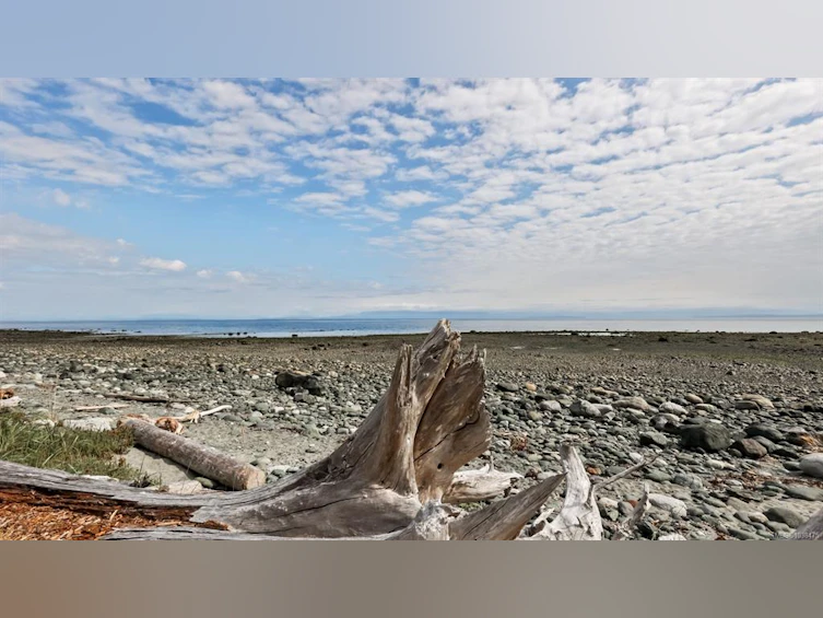 1494 Wilkinson Road, Comox, BC, V9M 4B3 - 4