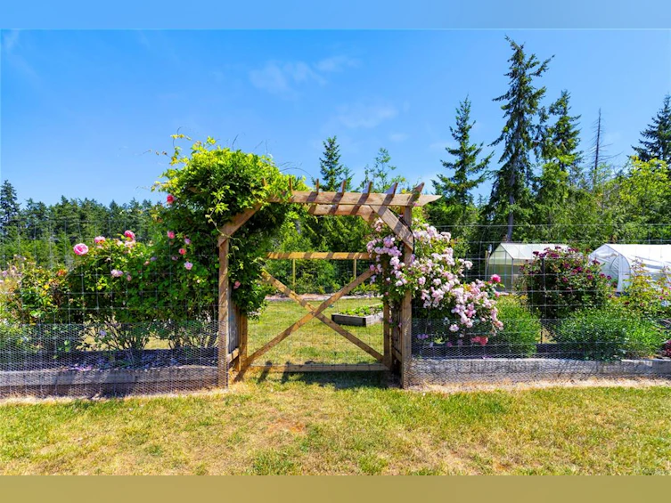 416 Grovehill Road, Qualicum Beach, BC, V9K 2A3 - 60