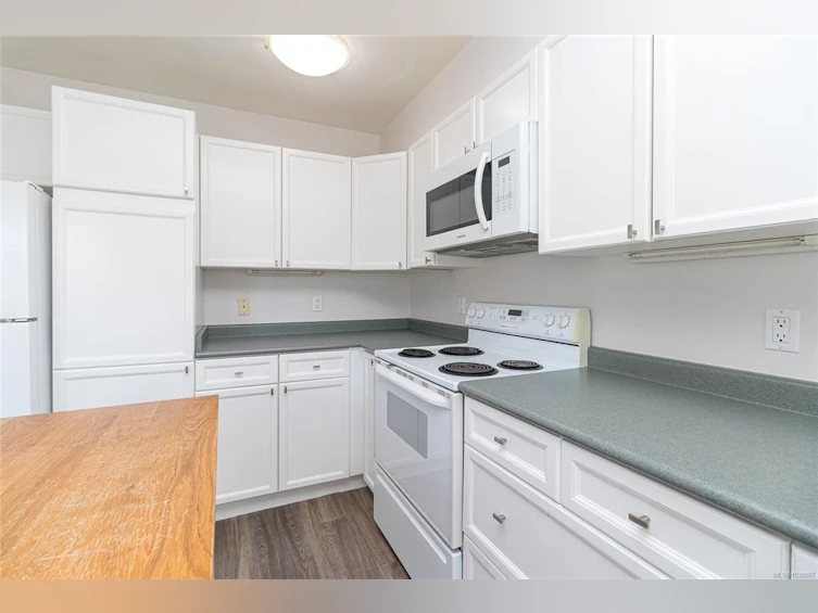 13-1043 Caledonia Avenue, Victoria, BC, V8T 1E7 - 12