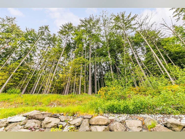 924 Craig Road, Ladysmith, BC, V9G 2C4 - 26