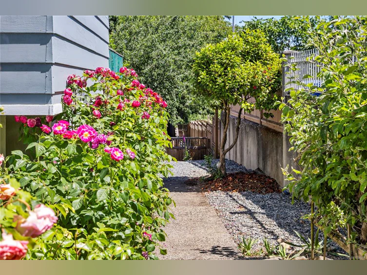 292 Machleary Street, Nanaimo, BC, V9R 2G6 - 46
