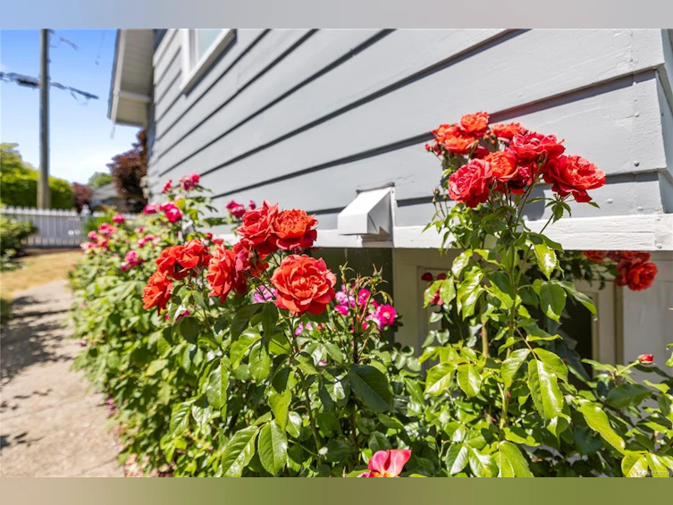 292 Machleary Street, Nanaimo, BC, V9R 2G6 - 63