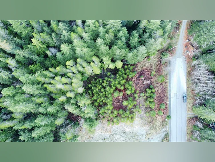 606 Scout Lake Road, Gold River, BC, V0P 1G0 - 6