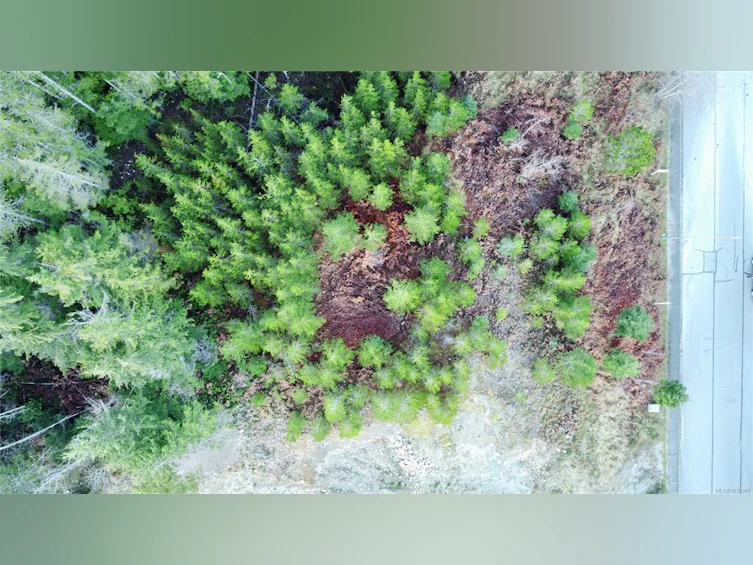 604 Scout Lake Road, Gold River, BC, V0P 1G0 - 4
