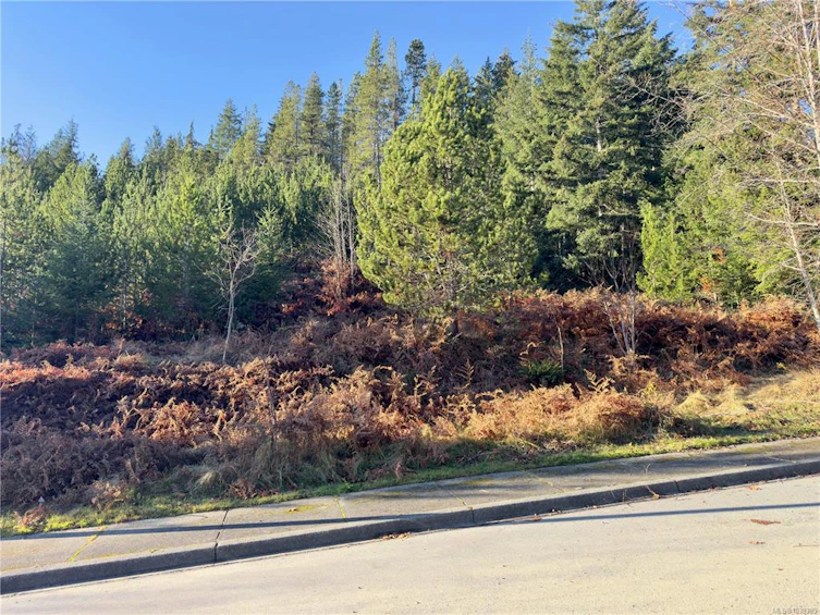 604 Scout Lake Road, Gold River, BC, V0P 1G0 - 2