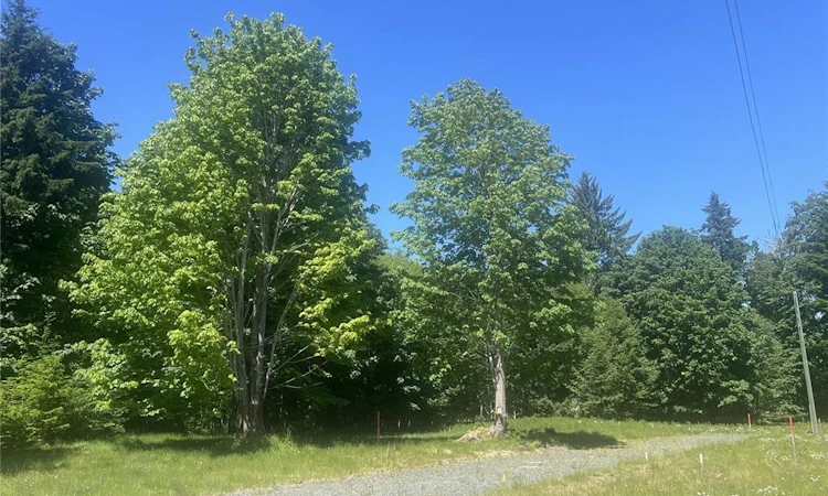 Lot 4 Creekside Drive