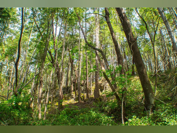 LT 17 Ruxton Place, Ruxton Island, BC, V0R 1X7 - 10