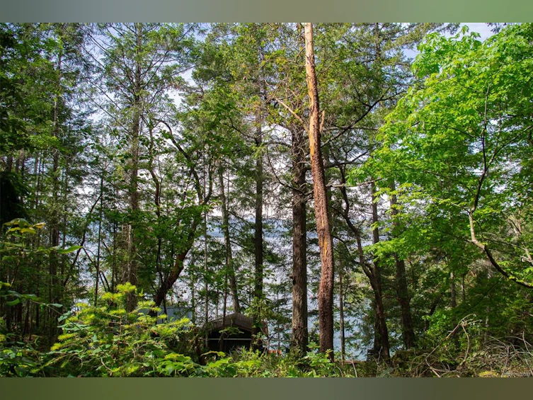 LT 17 Ruxton Place, Ruxton Island, BC, V0R 1X7 - 16