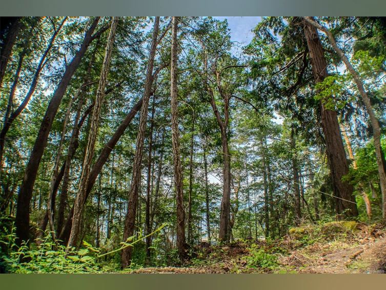 LT 17 Ruxton Place, Ruxton Island, BC, V0R 1X7 - 9