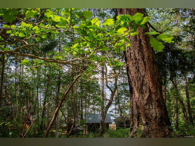 LT 17 Ruxton Place, Ruxton Island, BC, V0R 1X7 - 15