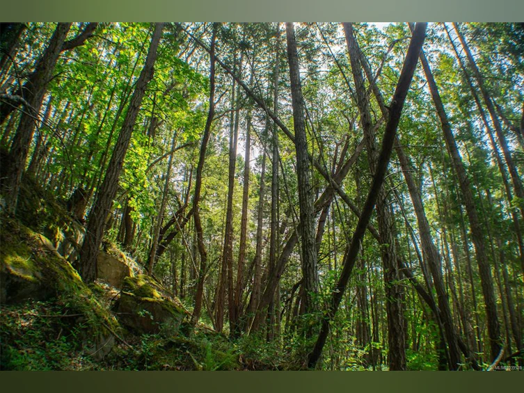 LT 17 Ruxton Place, Ruxton Island, BC, V0R 1X7 - 12