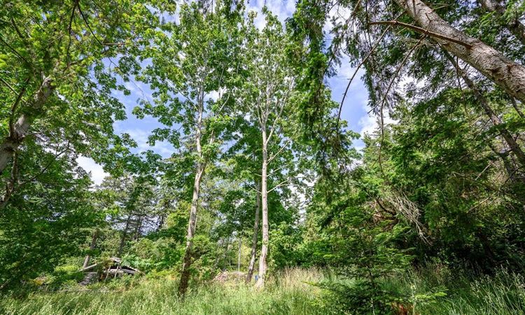 4920 Kirk Road