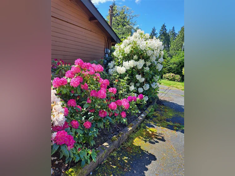 1600 Seacrest Road, Nanoose, BC, V9P 9B5 - 34